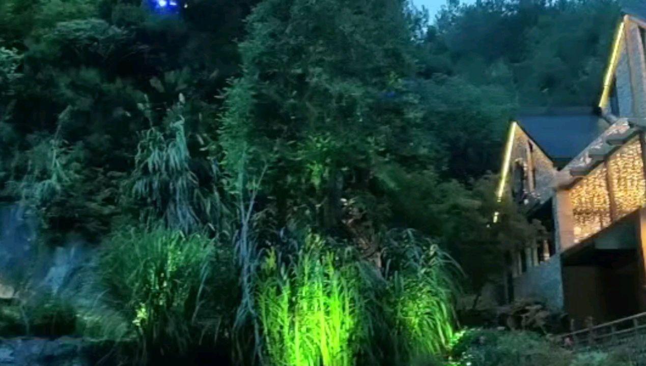 芭比的时尚新娘装